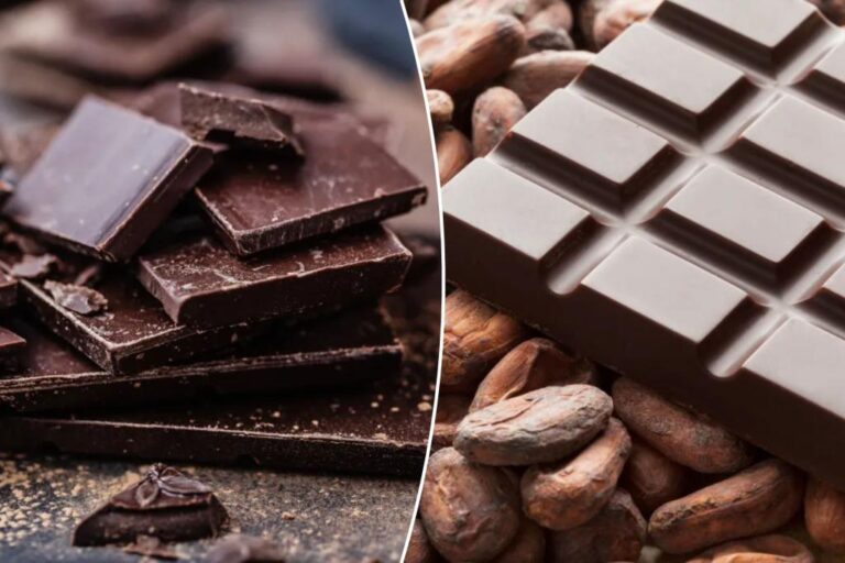 Many chocolate products contain toxic heavy metals: new study